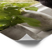 Poster Deux chats regardent le mur de la fenêtre (Coin)