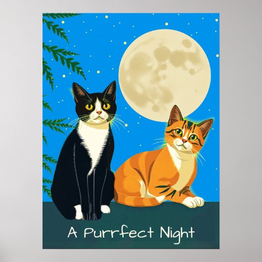 Poster Deux chats sous la Pleine lune (Devant)