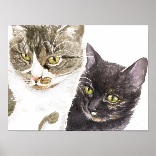 Poster Deux chats - tabby et écaille de tortue (Devant)