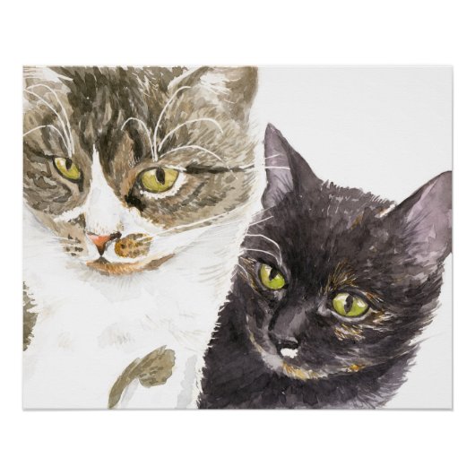 Poster Deux chats - tabby et tortie (Devant)