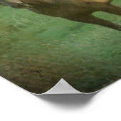 Poster Deux chevaux (Coin)