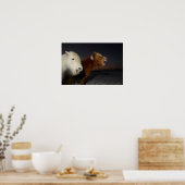 Poster Deux chevaux islandais (Cuisine)