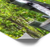 Poster Deux Chevaux Jouer Cheval Ranch Equine Photo (Coin)