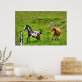 Poster Deux Chevaux Jouer Cheval Ranch Equine Photo (Cuisine)
