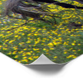 Poster Deux chevaux ruent et jouent (Coin)