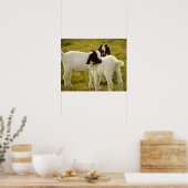 Poster Deux chèvres Boer mignonnes (Cuisine)