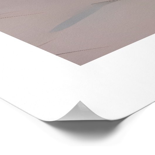 Poster Deux Chiens peint dans une baignoire (Coin)