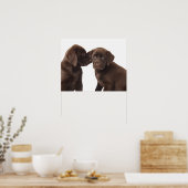 Poster Deux chiots au chocolat Labrador Retriever (Cuisine)
