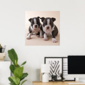 Poster Deux Chiots de Boston Terrier (Bureau à domicile)