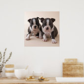 Poster Deux Chiots de Boston Terrier (Cuisine)