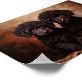 Poster Deux chiots noirs de Poodle (Coin)