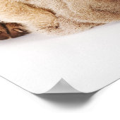 Poster Deux chiots Shar Pei dorment (Coin)