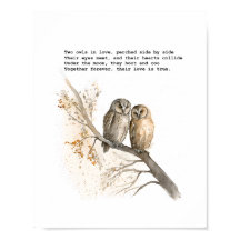 Deux Chouettes amoureuses