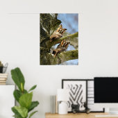 Poster Deux Chouettes dans les Bois, oiseaux, animaux (Bureau à domicile)