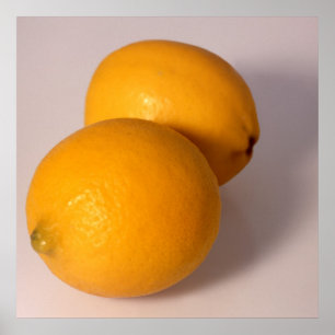 Poster Deux citrons