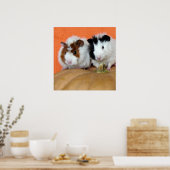 Poster Deux cochons de Guinée sur un Citrouille de fromag (Cuisine)