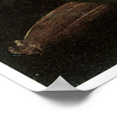 Poster Deux colibris au-dessus d'une orchidée blanche, an (Coin)