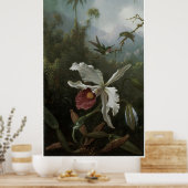 Poster Deux colibris au-dessus d'une orchidée blanche, an (Cuisine)