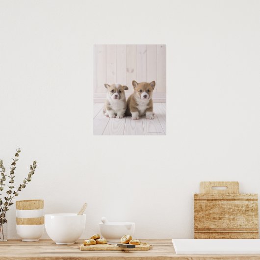 Poster Deux Corgi gallois assis (Cuisine)
