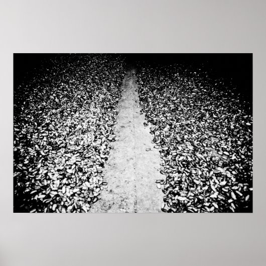 Poster deux côtés du cacao (Devant)