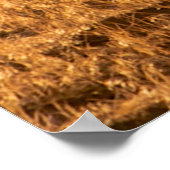 Poster Deux cow-boys occidentaux à cheval, braconnant la (Coin)