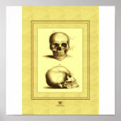 Poster Deux crânes (Devant)