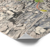 Poster Deux crétacés (Coin)