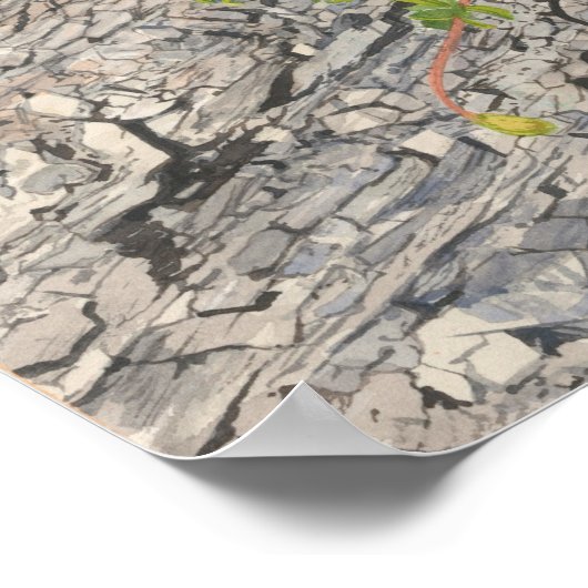 Poster Deux crétacés (Coin)