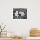 Poster Deux Cubes Ours Polaires (Cuisine)