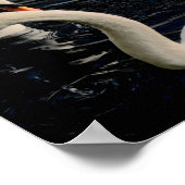 Poster Deux cygnes (Coin)