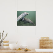 Poster Deux dauphins sous l'eau (Cuisine)