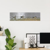 Poster Deux Drake et un Hen Wood Duck (Bureau à domicile)