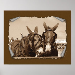 Poster Deux d'une sorte