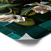 Poster Deux Élégants Cygnes Aux Couronnes (Coin)