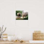 Poster Deux éléphants d'Afrique (Cuisine)