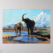 Poster Deux éléphants d'Afrique au point d'eau (Devant)