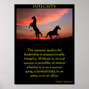 Poster Deux étalons noirs en silhouette