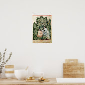 Poster Deux femmes cueillant de la sauge, de 'Tacuinum (Cuisine)