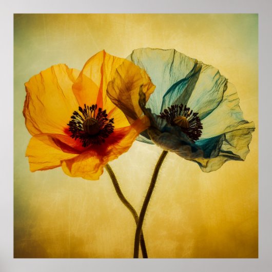 Poster Deux fleurs (Devant)