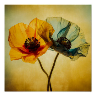 Poster Deux fleurs