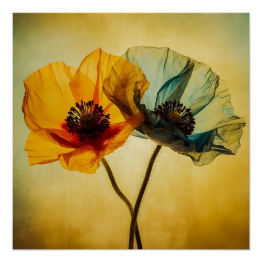 Poster Deux fleurs (Devant)