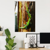 Poster Deux geckos en or Phelsuma Laticauda (Bureau à domicile)