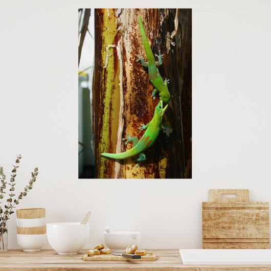 Poster Deux geckos en or Phelsuma Laticauda (Cuisine)