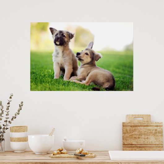 Poster Deux German Shepherd (Cuisine)