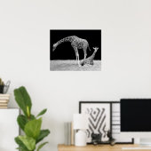 Poster Deux girafes en noir et blanc (Bureau à domicile)