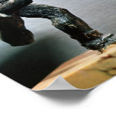 Poster Deux gladiateurs au combat (Coin)