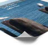 Poster Deux Goélands "Pour Vous Être Vrai" (Coin)