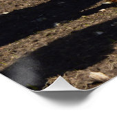 Poster Deux Grandes Vaches Brown, (Coin)