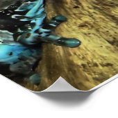 Poster deux grenouilles en retrait (Coin)