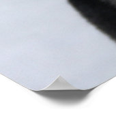 Poster Deux Husky Photoshop Sled Dog (Coin)